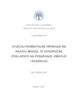 Utjecaj perinatalne hipoksije na razvoj mozga, te dugoročne posljedice na ponašanje, emocije i kogniciju